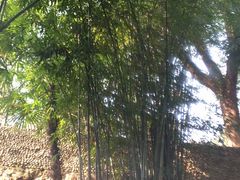 -三江森林温泉度假区