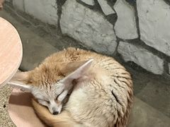 -海合安武汉极地海洋公园