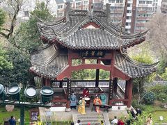 -黄鹤楼公园(黄鹤楼)