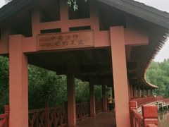 -大亚湾红树林城市湿地公园