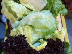 -前门杨记·铜锅涮肉(王府井·故宫店)
