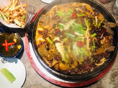 -老板恋上鱼(恒隆广场店)