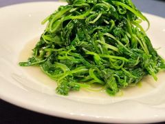 -石泉私宴