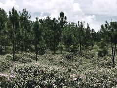 -白沙门生态公园