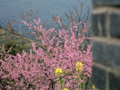 -石潭村