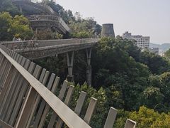 -福道