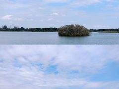 -海珠湖公园