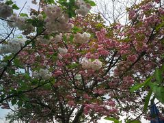 -仙海旅游度假区