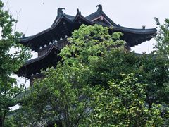 -江心屿景区