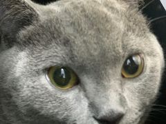 -爱侣宠医·鹦鹉专科·小型哺乳类·异宠专科(灵石路店)