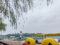 -白洋淀景区