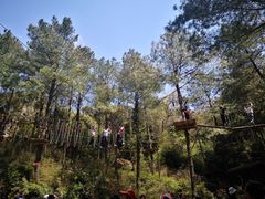 -梦幻奥陶纪景区