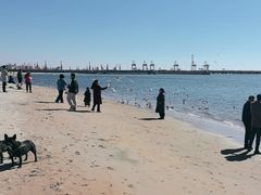 -金梦海湾浴场