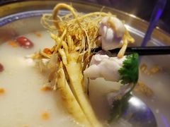 鲜人参火锅-千岛蚝高压锅生蚝·人参火锅(白云万达店)