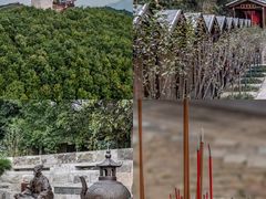 -瑞安圣井山景区