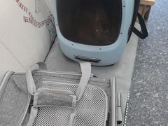 -瑞鹏宠物医院华南总院·夜诊·心脏科·骨科