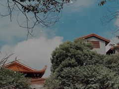 -金鸡山公园