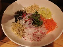 东北大拉皮-鸽子窝(青塔店)