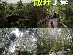 -汤旺河林海奇石景区