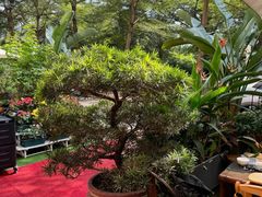 -山水茶艺馆·点心粤菜·30年老字号