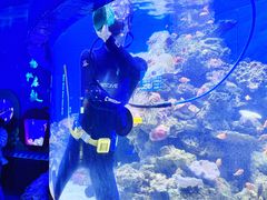 -多彩贵州城极地海洋世界