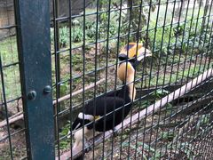 -吉隆坡雀鸟公园