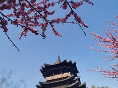 -杭州半山国家森林公园