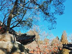 -香山公园