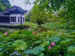 -盆景园(扬州大运河文化旅游度假区)