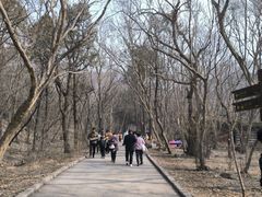 -天门寺