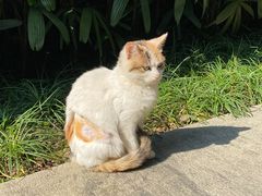 -广州兰圃