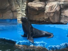 -华夏文旅海洋公园