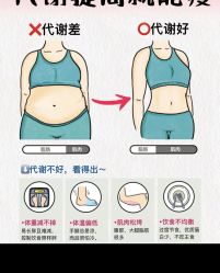 -Fundi张玉珊修身堂·indiba·BTL科技瘦身