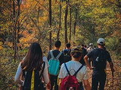 -南京市无想山景区