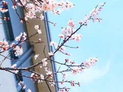 -江南大学(蠡湖校区)