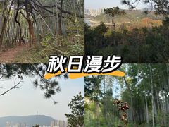 -青龙山国家森林公园