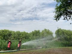 -长兴太湖图影湿地文化园
