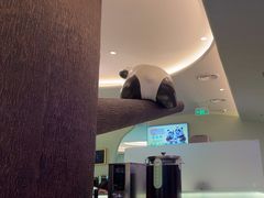 -眉州东坡·熊猫主题餐厅(枫蓝店)