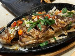 鲫鱼铁板-万鑫鸡翅