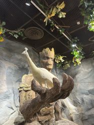 -Zoolung Zoolung动物主题公园(海信广场店)