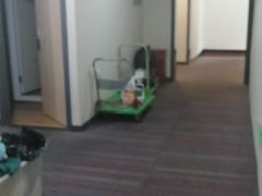 -海友酒店(北京交通大学店)