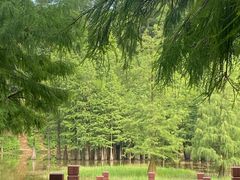 -番禺大夫山森林公园