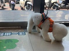 -艾贝尔宠物医院·24H转诊中心·肿瘤猫专科(江宁双龙店)