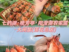 -七的湖·晚芳亭·阳澄湖农家菜·大闸蟹(莲花岛店)