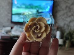 -好利来(回龙观东大街店)