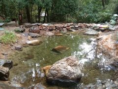 -羚羊峡古栈道森林公园