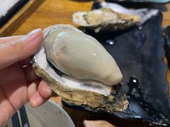 -烧蠔帮·生蚝海鲜牌档(观海店)