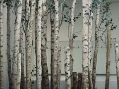 -极简口腔(总院)