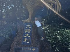 -海口火山口国家地质公园