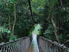 -三亚南山文化旅游区